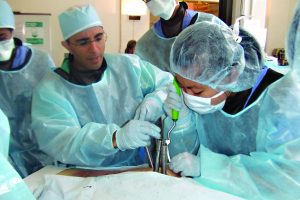 MSE Program CBID